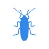 Уничтожение тараканов в Икше